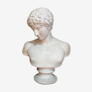 Apollo plaster bust