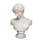 Apollo plaster bust