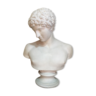 Apollo plaster bust