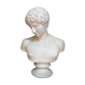 Apollo plaster bust