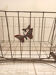 Old metal cradle from the late 1920s