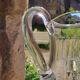 Crystal pitcher from Saint Louis, Cerdagne model.