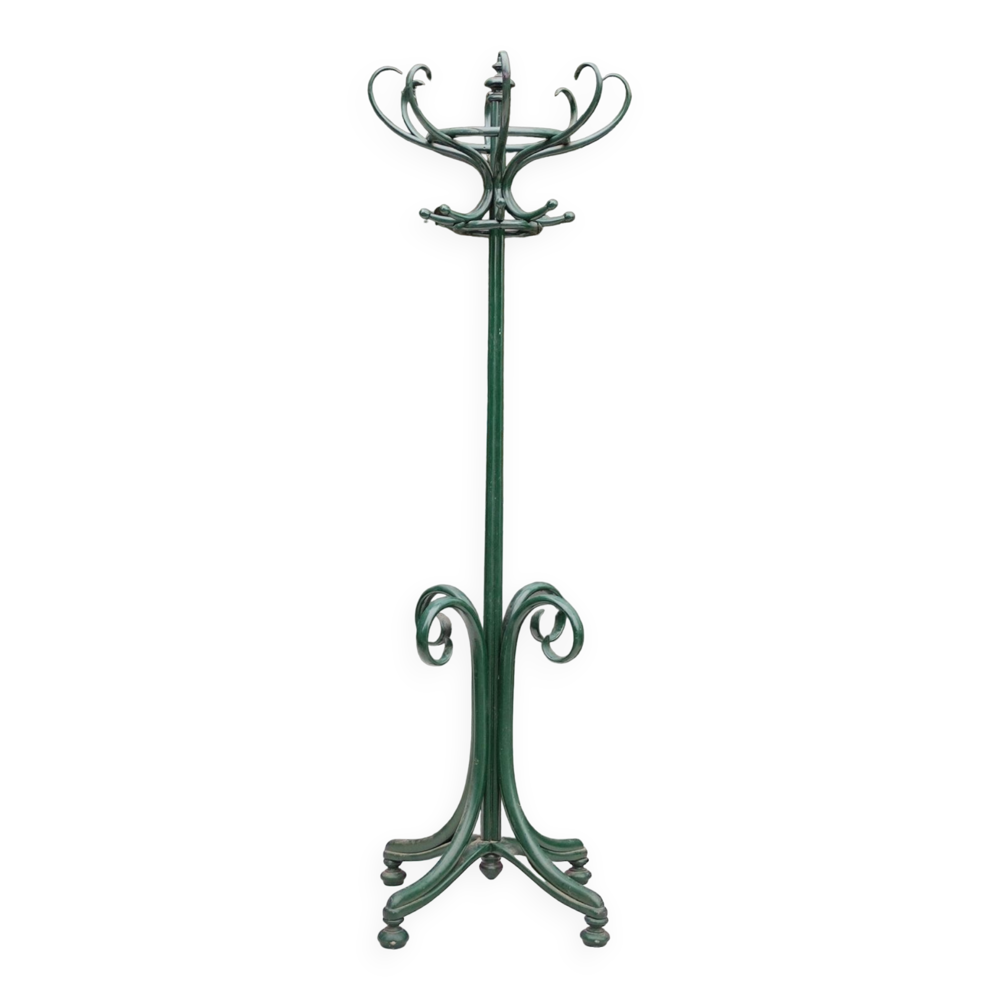 Coat rack parrot in bent wood