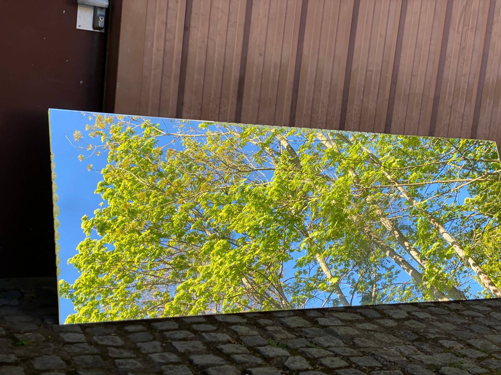 Bistro brasserie mirror, sculpted and bevelled, 1980, 228x80cm.