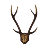 Deer massacre