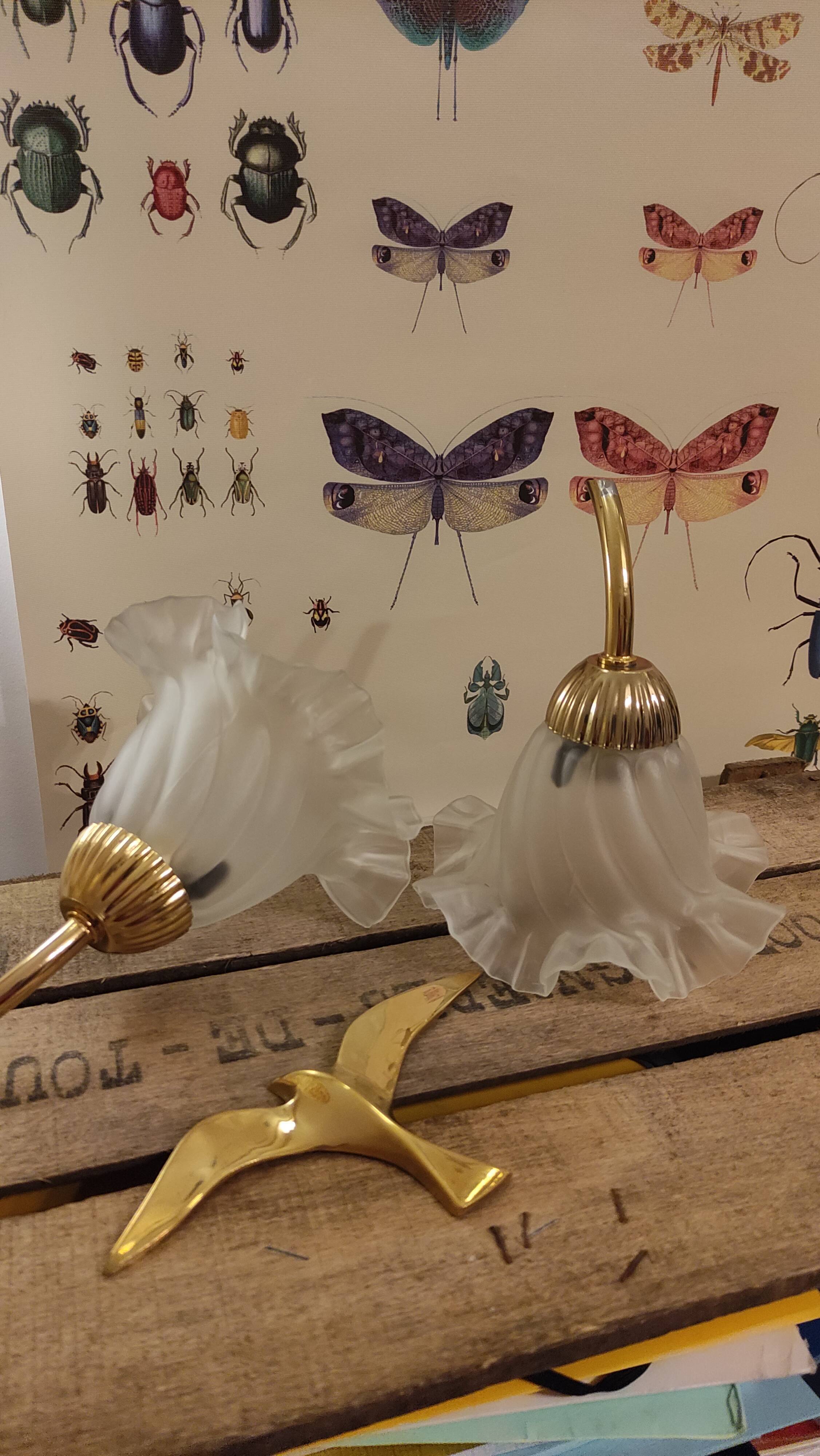 Duo of lampshade, art deco tulip globe