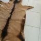 Goat skin