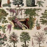 Lithograph on gardens (robinia) - 1930