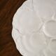 Porcelain oyster plate set by HutschenReuthen