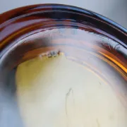 Vintage Italian round ashtray in thick amber glass – Ø 15 cm