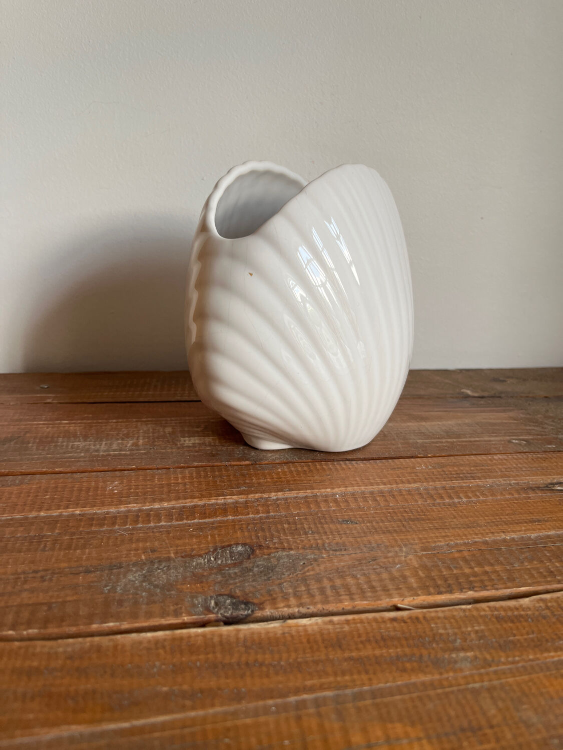 Vase coquillage
