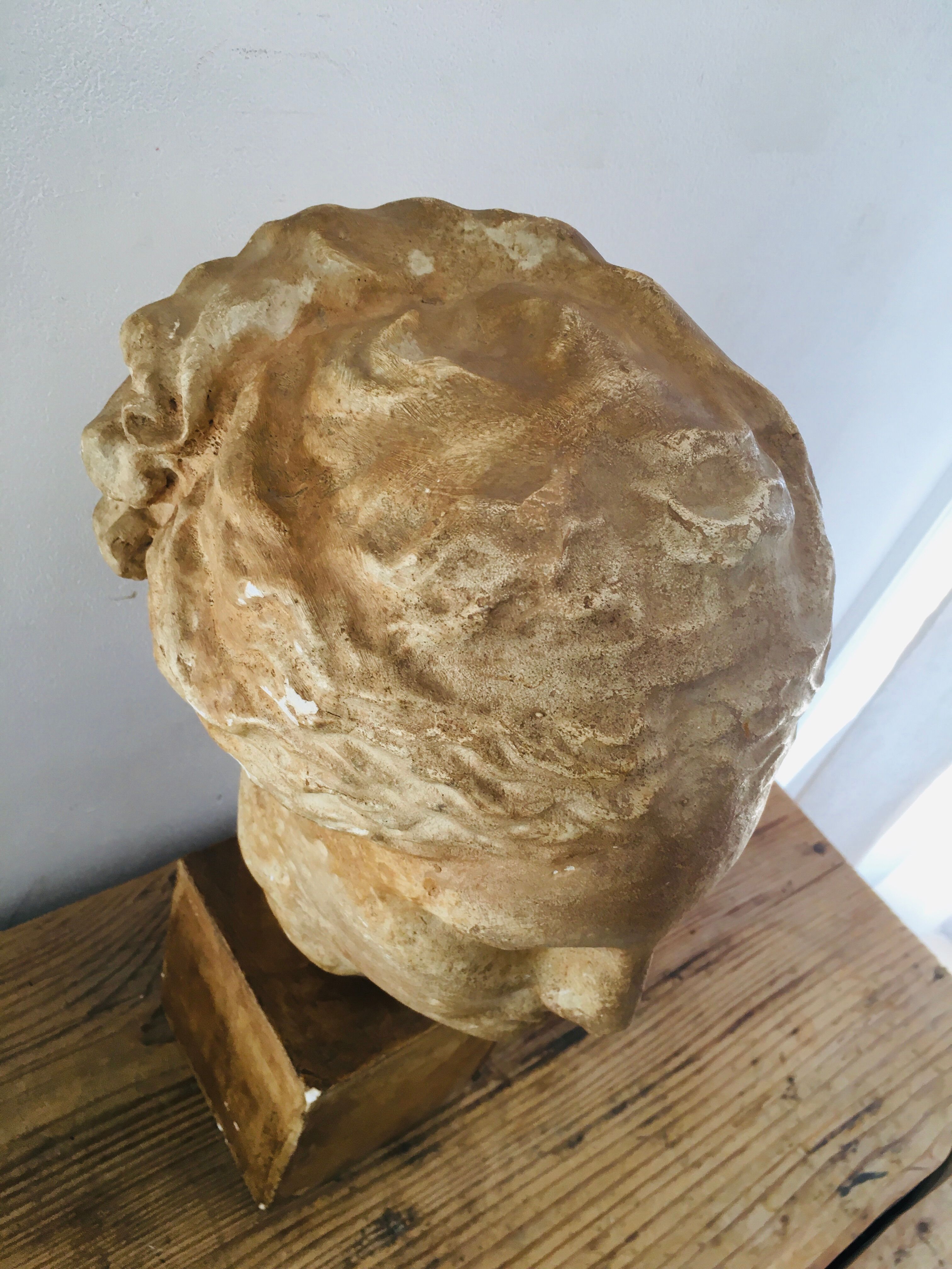 Plaster head goddess Hygie