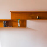 Wall Shelf by Walter Wirz for Wilhelm Renz, 1960s, Set of 2