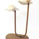 Rattan lamp and shells, 1930