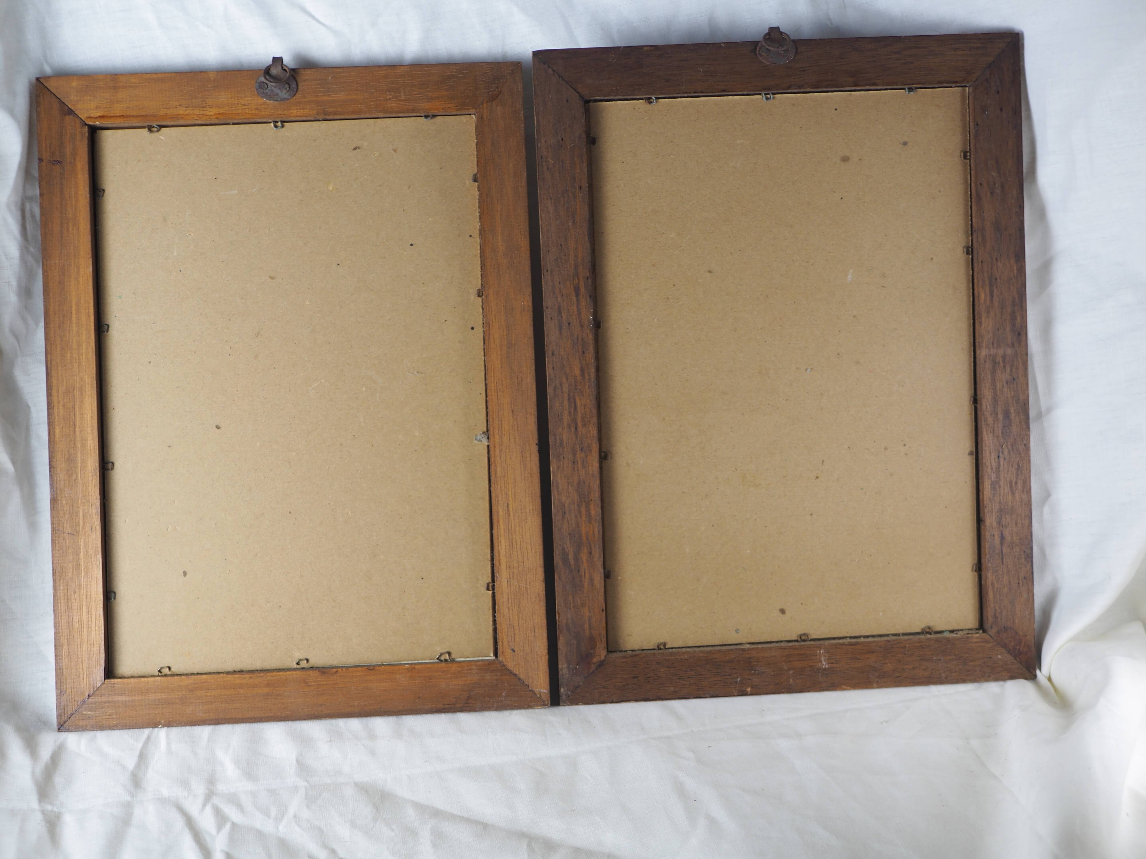 Pair of colorized mycological lithographs - Coprinus comatus, Psalliotta arvensis - 70s