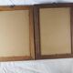 Pair of colorized mycological lithographs - Coprinus comatus, Psalliotta arvensis - 70s