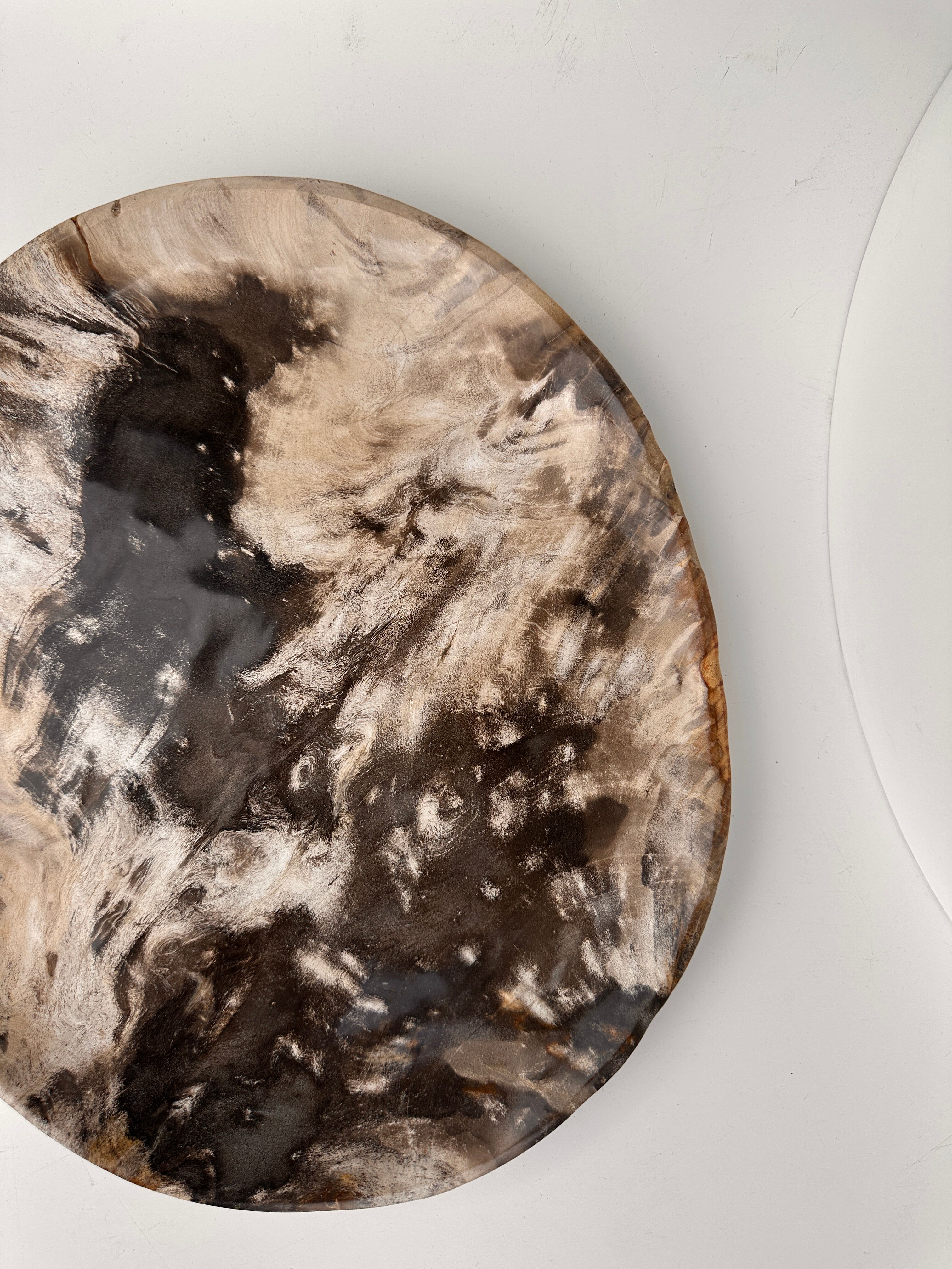 Very large empty pocket or petrified wooden flat