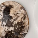 Very large empty pocket or petrified wooden flat