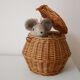Basket box with lid or pocket tray