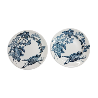 Suite de 2 assiettes en faïence à décor d'oiseau