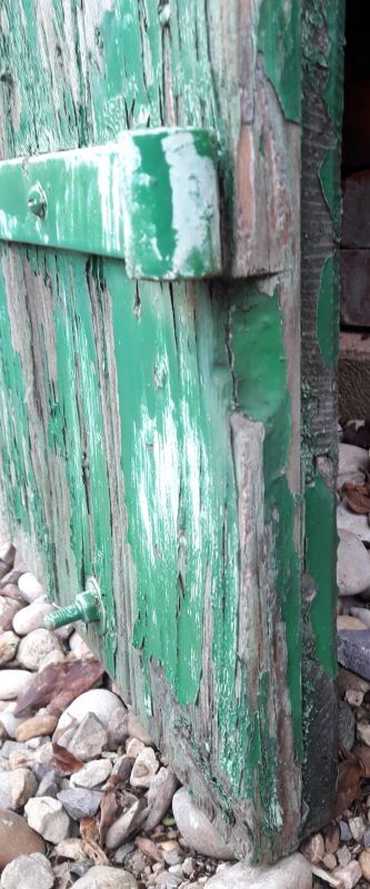 Pair of shutters H125xL87cm old painted fir