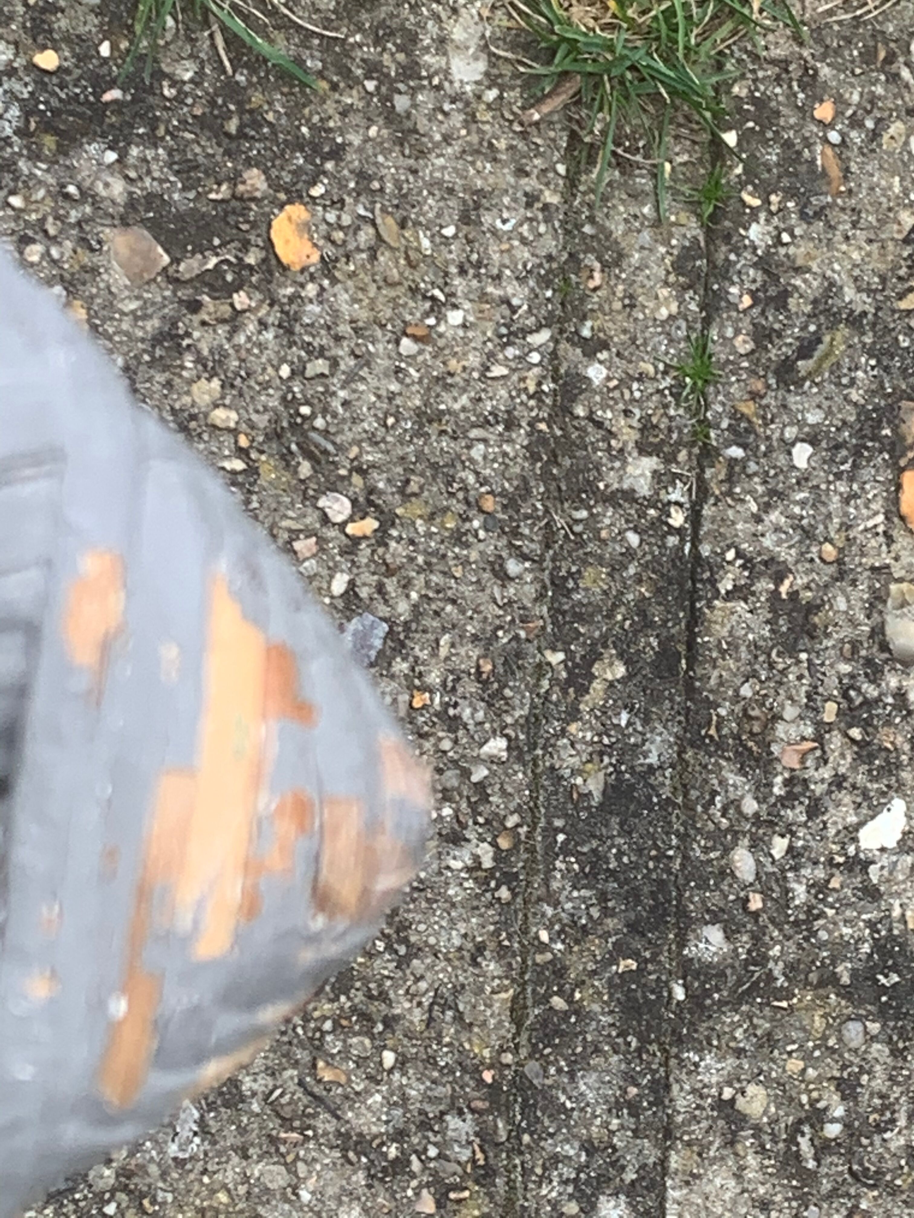 Bamboo and rattan magazine holder, vintage grey canning