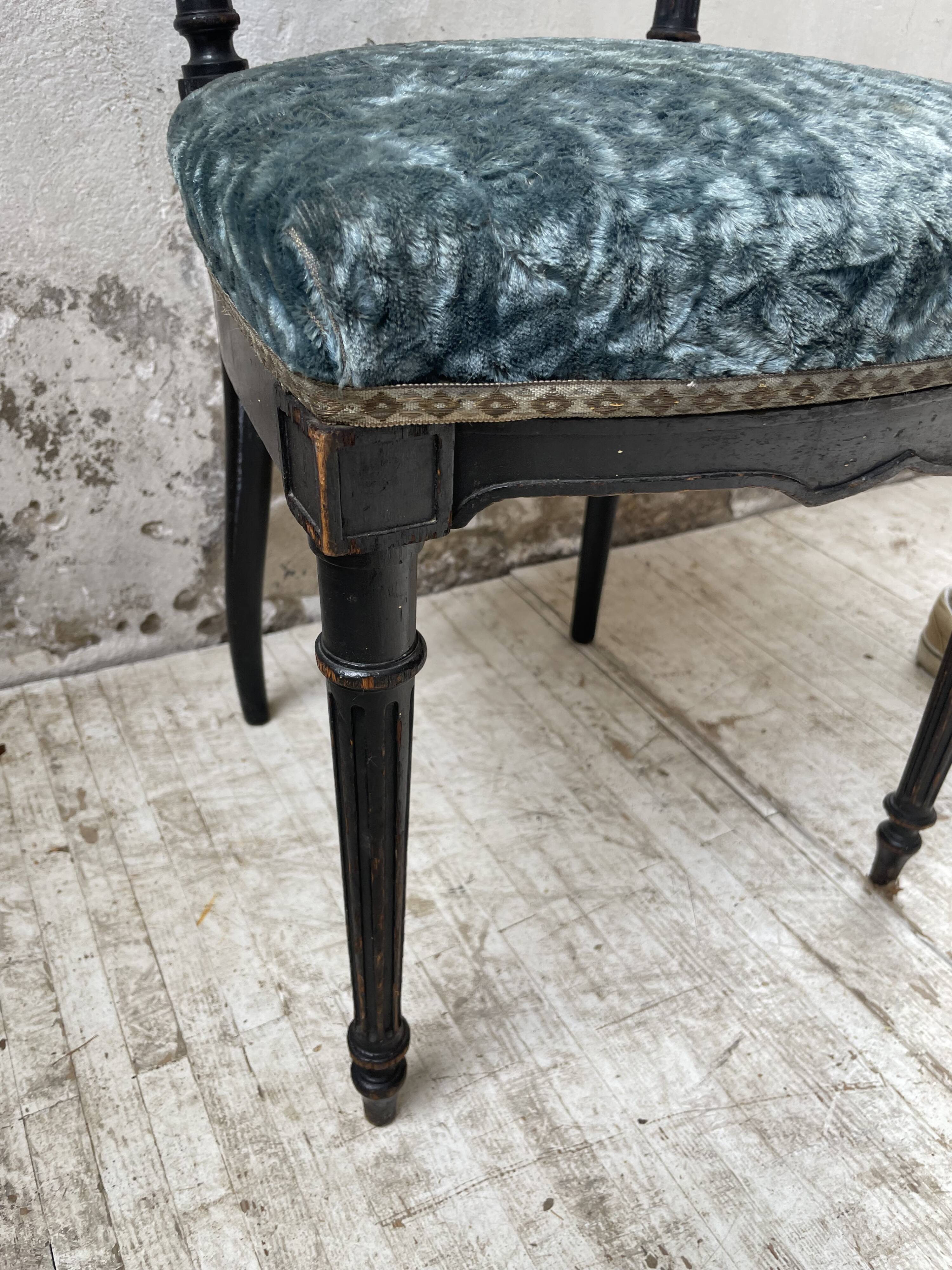 Chaise Napoléon 3 velours bleu