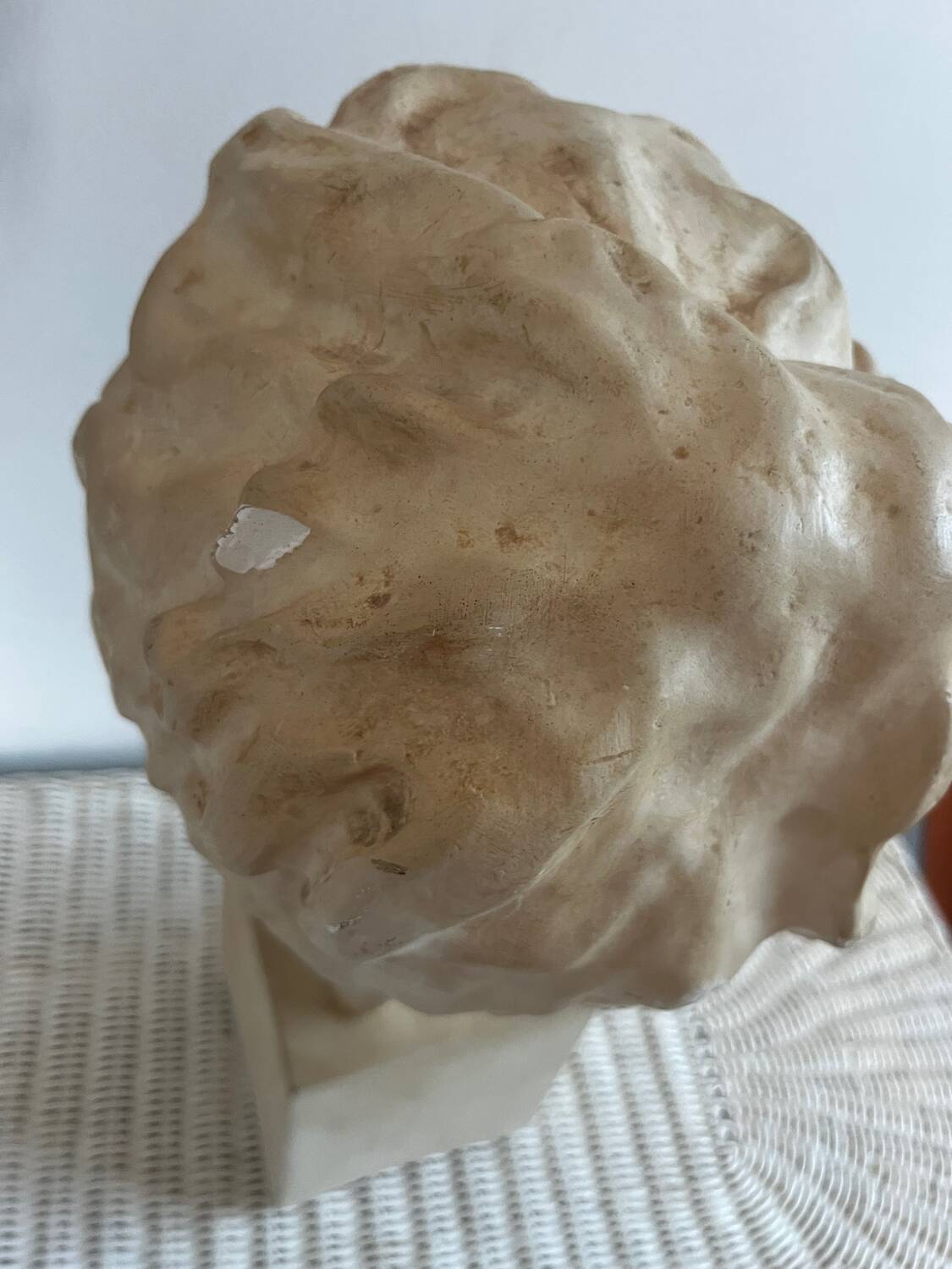 Plaster bust
