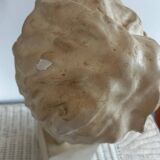 Plaster bust
