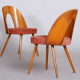Pair of Mid Century chairs made in 1950s Czechia, designed by Antonín Šuman