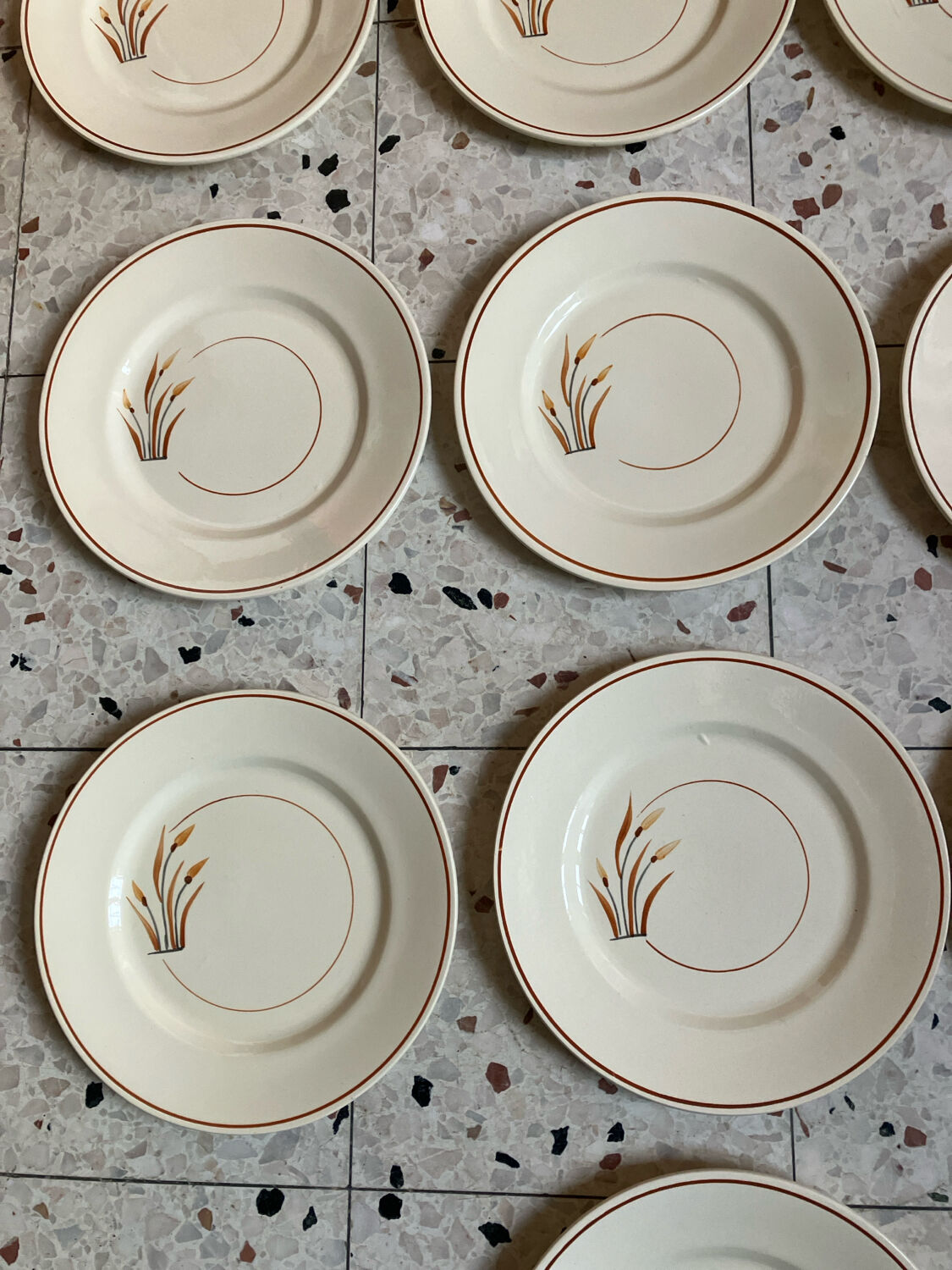 10 assiettes à dessert 