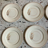 10 assiettes à dessert 