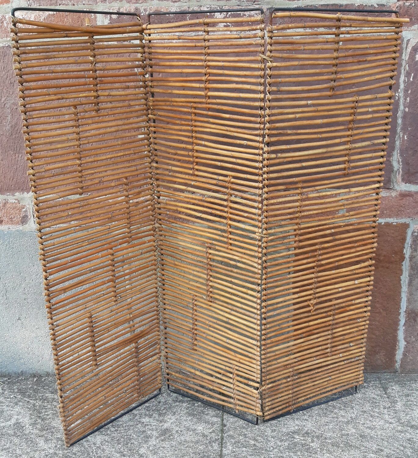 Bamboo screen year 60