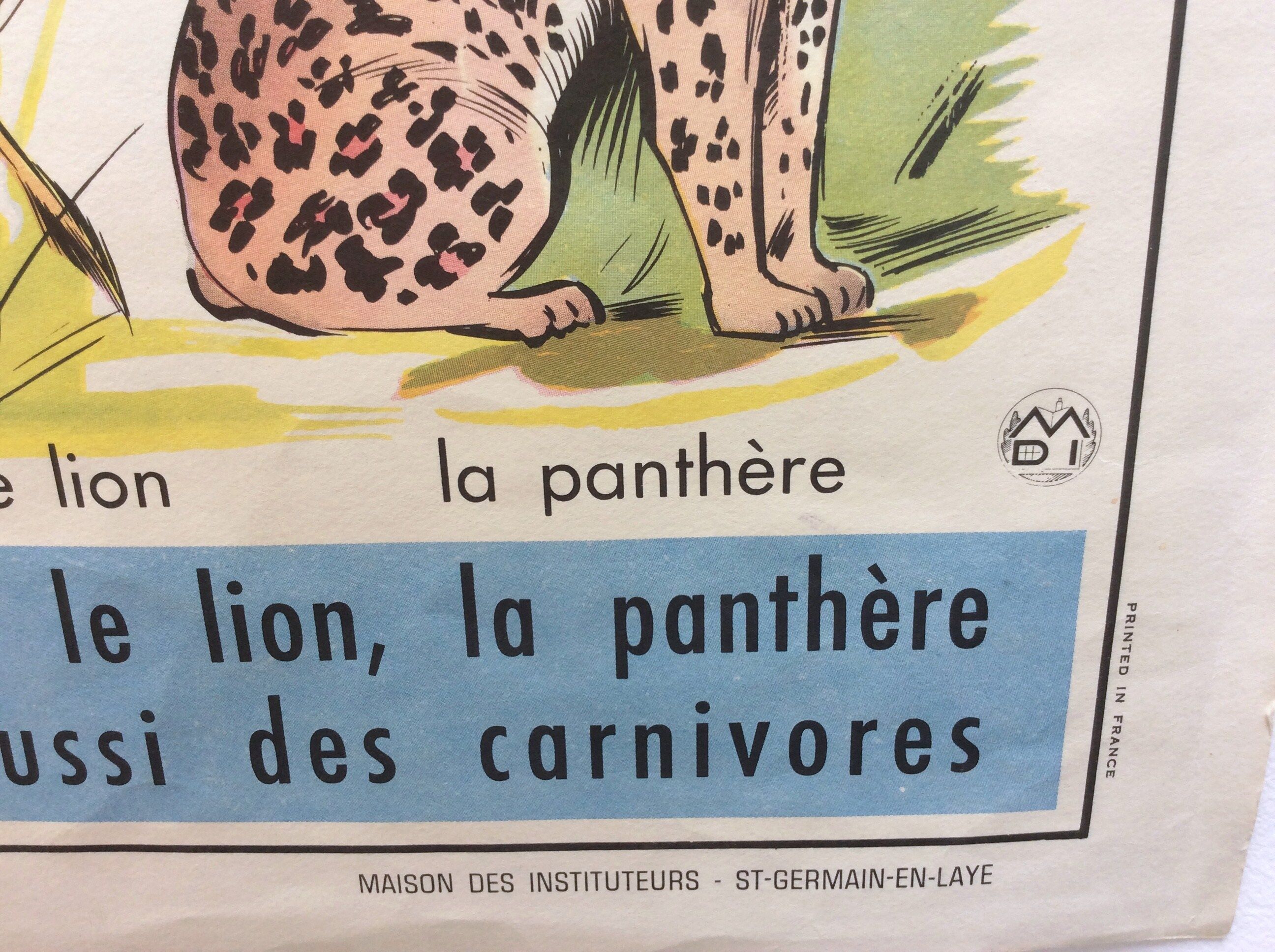 School poster theme the cow / the cat