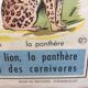 Affiche scolaire thème la vache / le chat