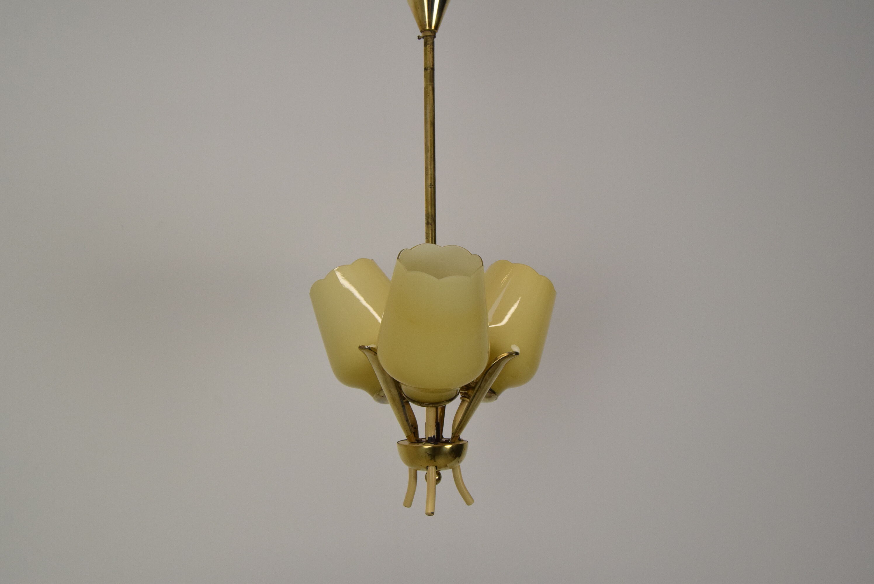 Mid-century Chandelier,Czechoslovakia,1960