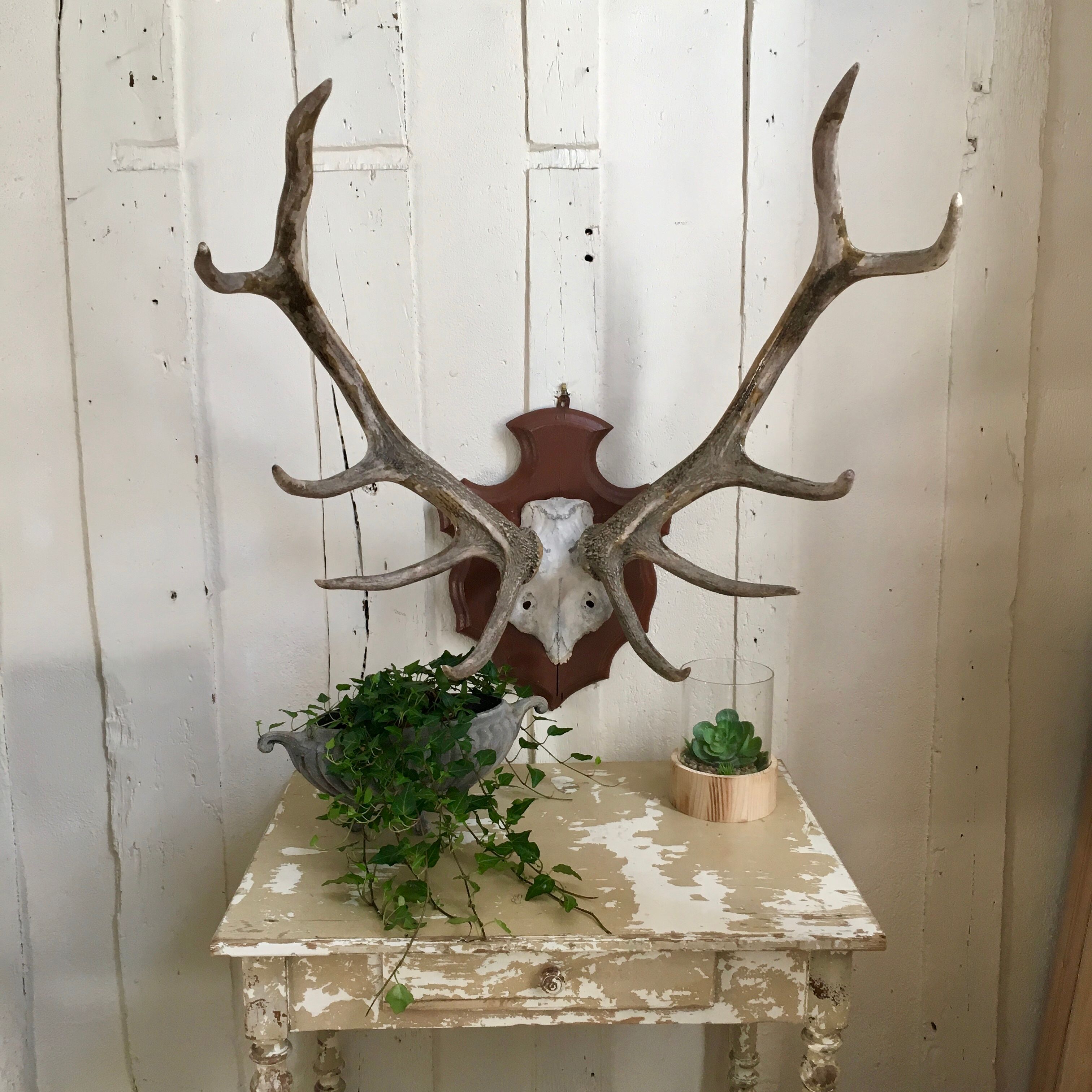 Massacre deer on wooden base