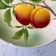 Coupe à fruits / compotier / plat de présentation en barbotine saint clément peint à la main début x