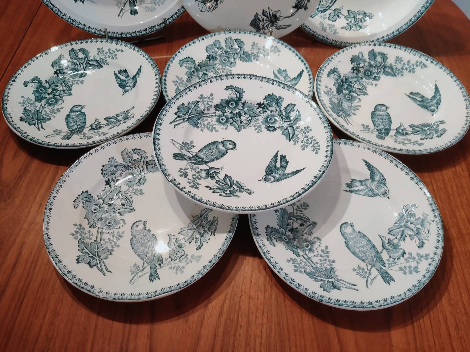 Iron Earth Service Tits