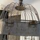 Metal cage