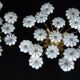 Paire de lampes de plafond en verre de Murano à fleurs blanches. Italie, années 1980.