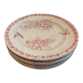 Set of 6 plates Terre de Fer Onnaing Moisson