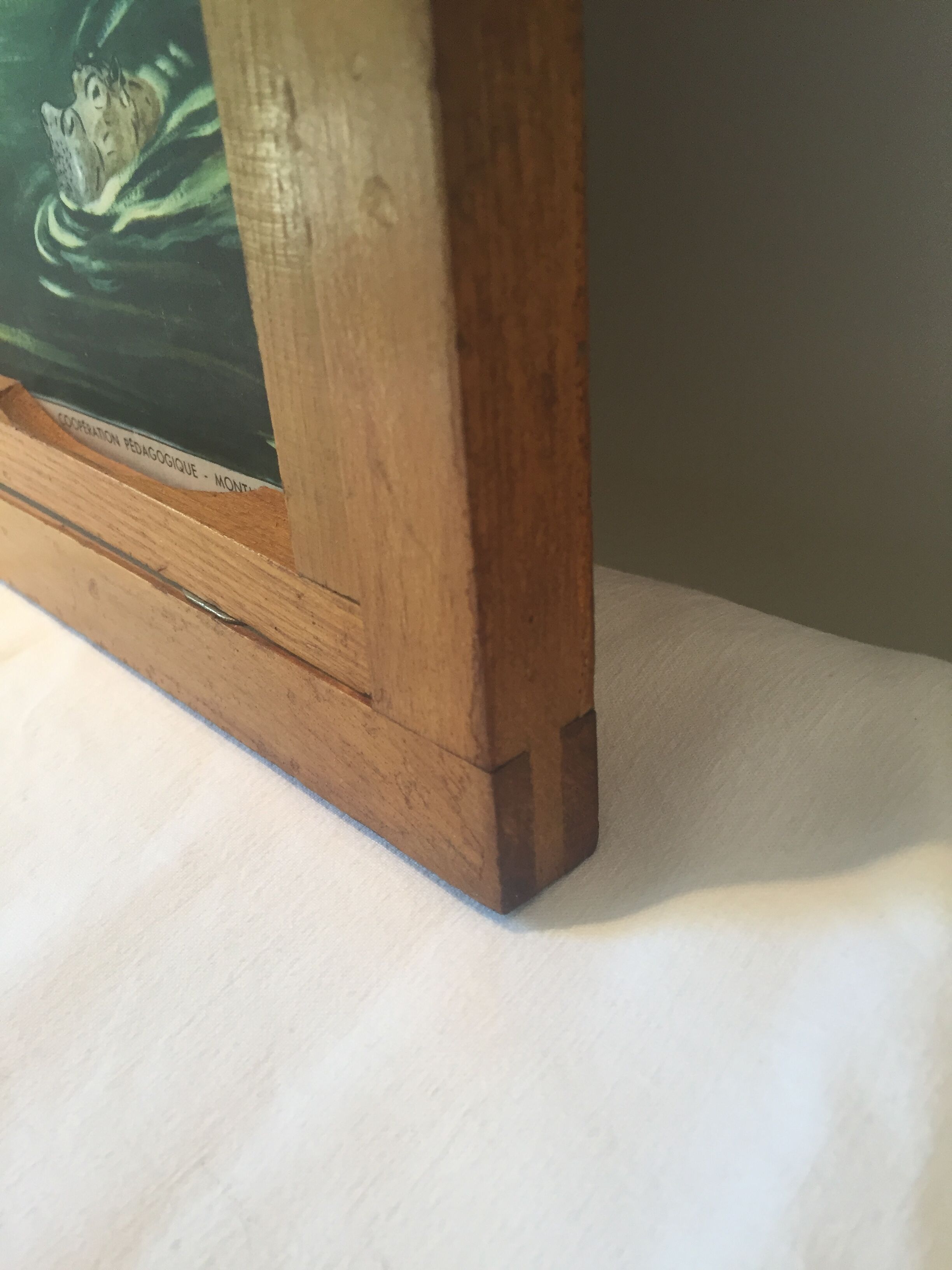 Table school nightingale year 50 with poster virgin forest / tundra