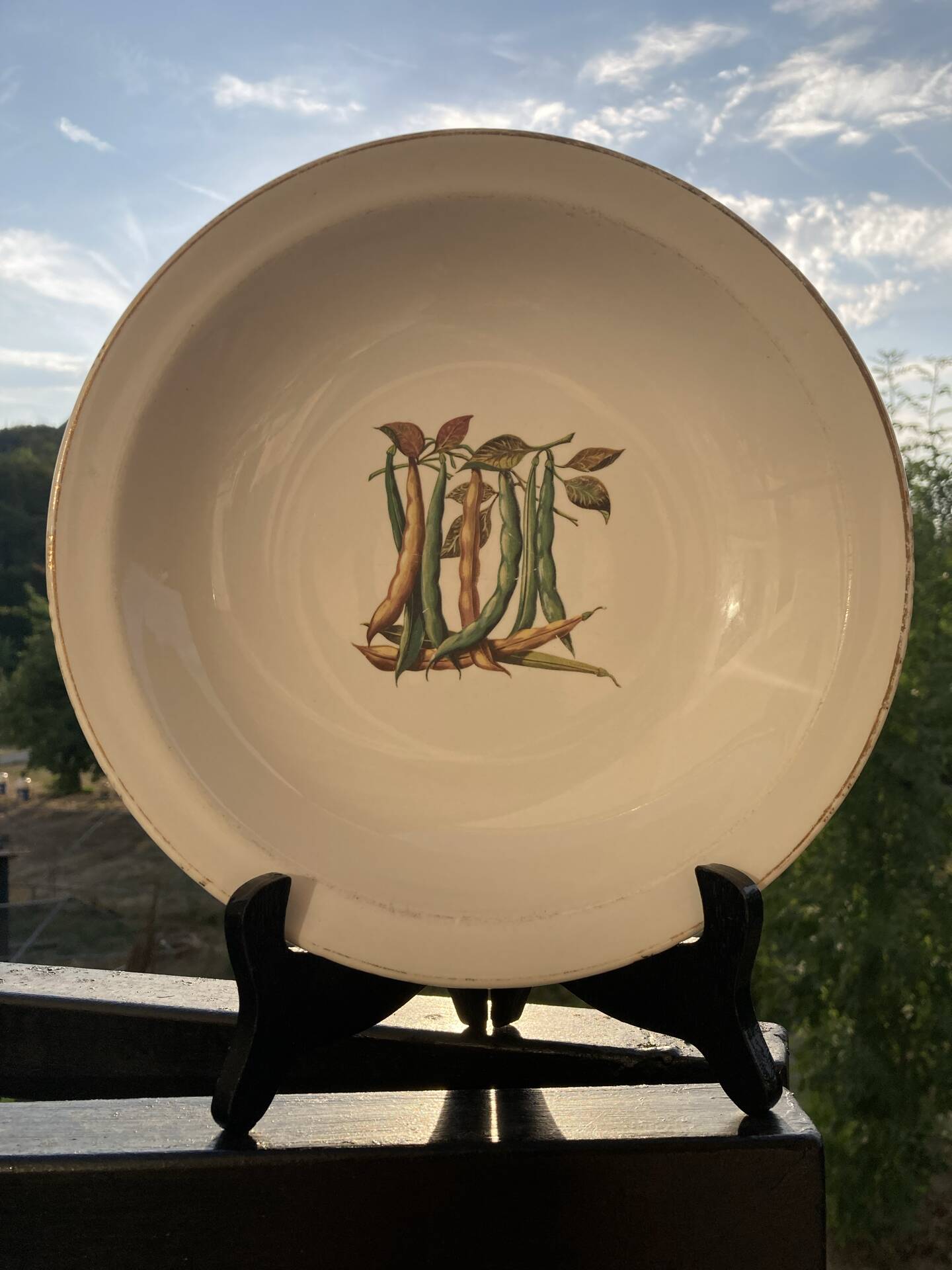 Fireproof porcelain serving dish Gien France botanical pattern