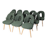 Dining Chairs by Antonin Suman, 1960s, Set of 12