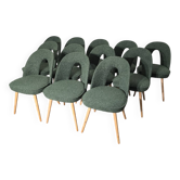 Dining Chairs by Antonin Suman, 1960s, Set of 12