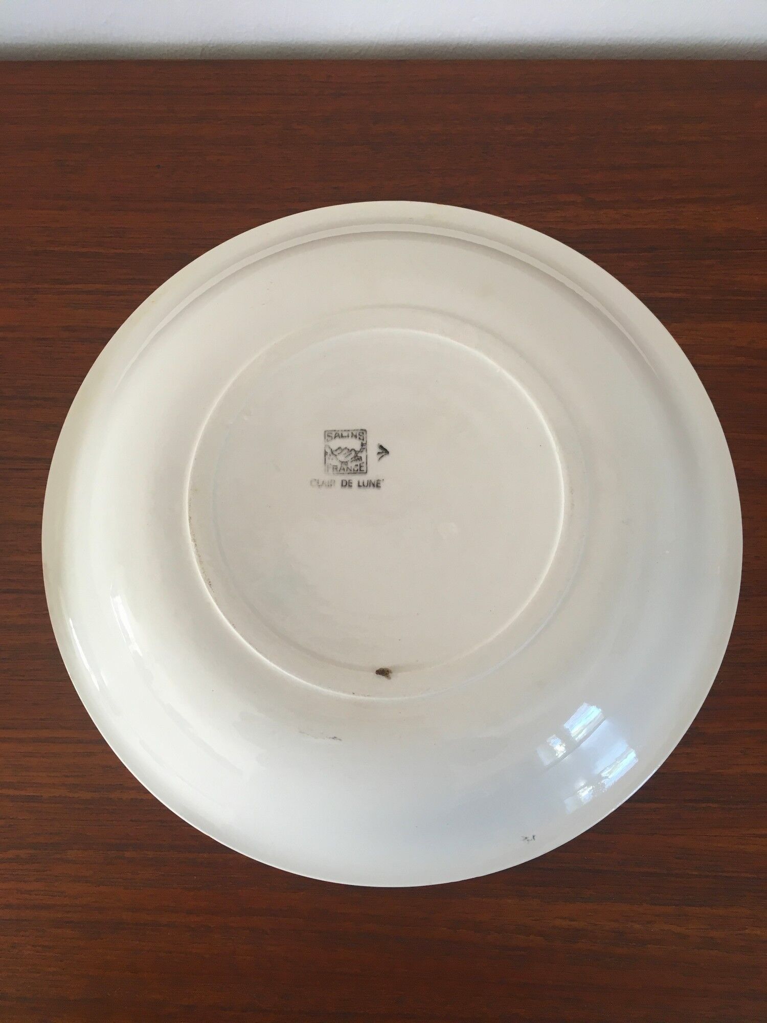 2 Vintage dishes in Salins earthenware service clear 50s