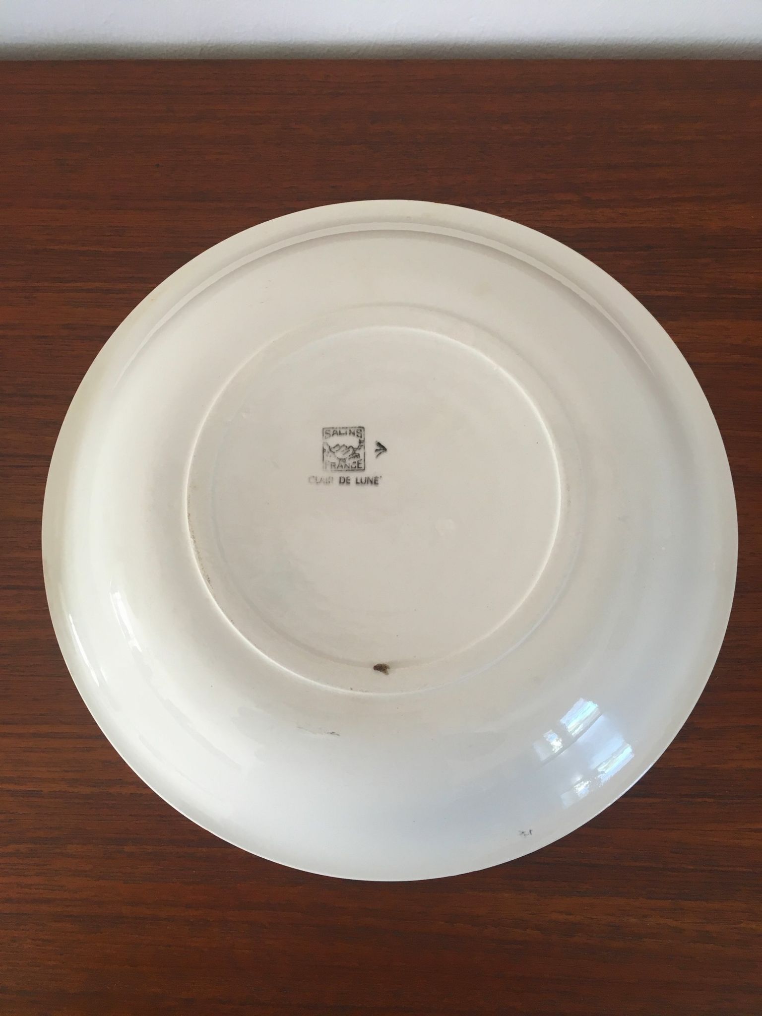 2 Vintage dishes in Salins earthenware service clear 50s