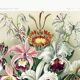 Poster about “orchids”, based on an old lithograph from 1904.