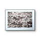 Angoulême, Charente, photo print from 1942.